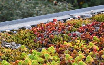 the cost of Drylaw green roof installation