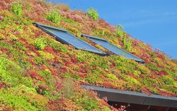 Drylaw living roof systems