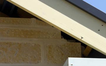 soffit repair Drylaw