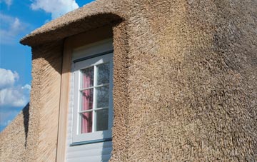 Drylaw thatch roof disadvantages