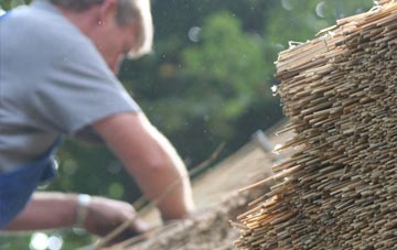 professional Drylaw thatchers