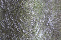 Drylaw fibreglass roof work